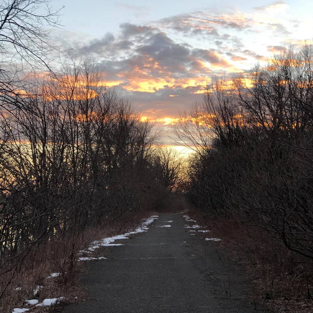 Meet your Posher, Ingrid